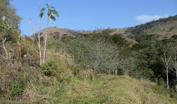 Area de descontaminação em Descoberto 2