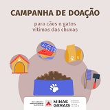 campanha de animais capa