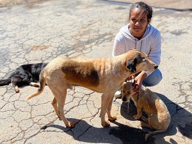 Programas desenvolvidos ao longo do ano são voltados para a fauna doméstica, com foco em animais de rua, de famílias de baixa renda e aqueles tutelados por ONGs e protetores