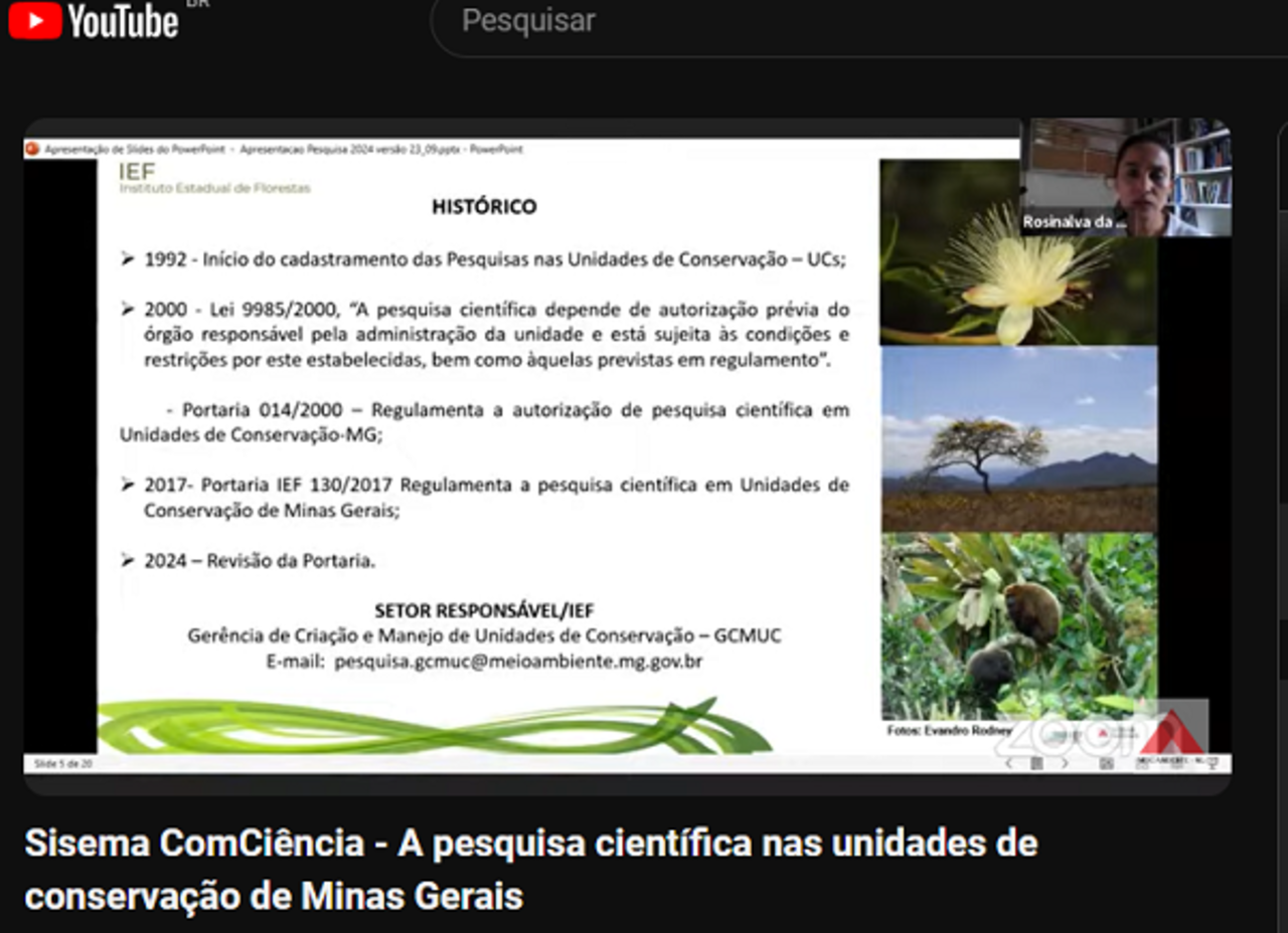 Durante evento online foi ressaltada a importância de Minas Gerais no cenário de conservação ambiental