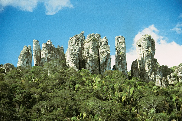 Parque Estadual Sete Salões Paint