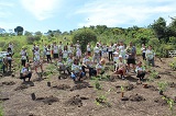 ecofolia2023capa