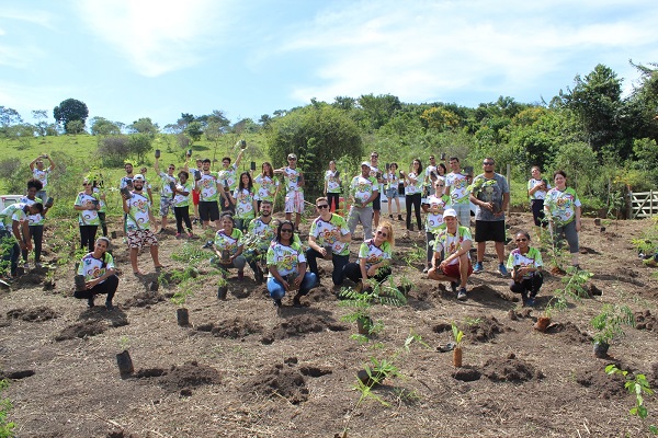 ecofoliainterna