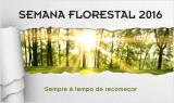 Foto_Semana_Florestal_2016_peq