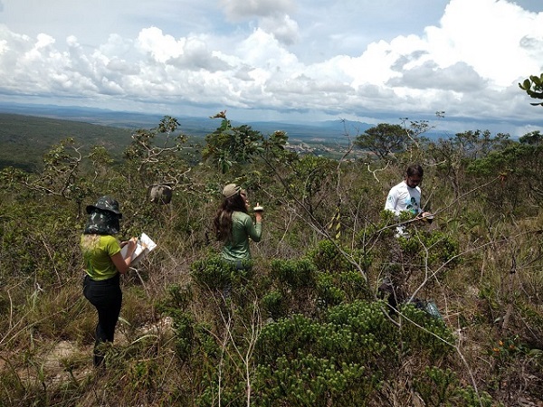 Iniciativa visa fortalecer os esforços de conservação e ajudar a garantir um futuro mais sustentável para a biodiversidade singular da região