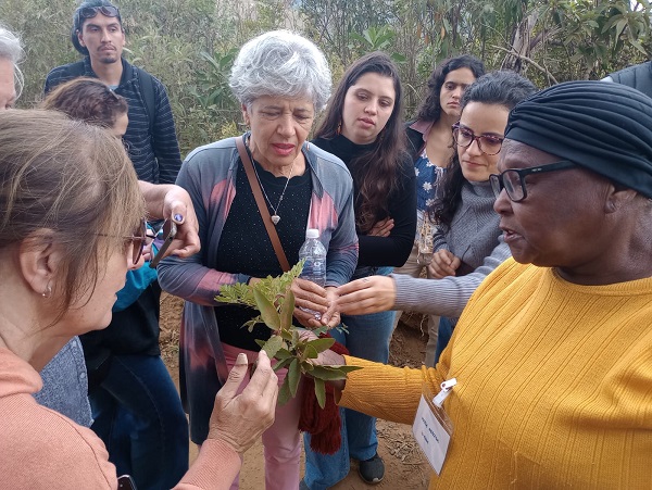 PLANTAS_MEDICINAIS_1__dentro